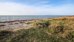 Eine Küstenlandschaft mit Sandstrand, grasbewachsenen Dünen und ruhiger See unter blauem Himmel.