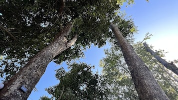 Pemandangan dari udara