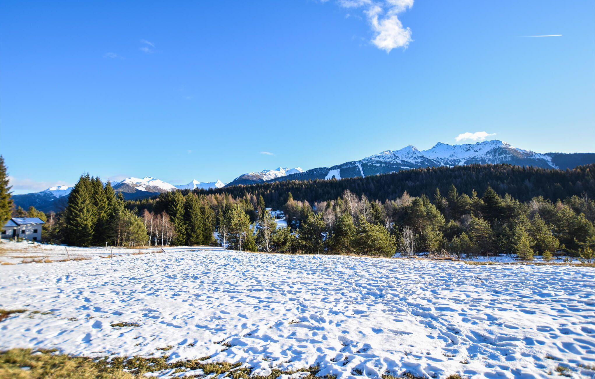 A snowy landscape with a clear view of snow-covered mountains and a forested area.