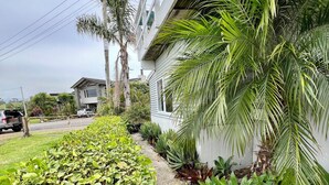 A residential area with a white house, a concrete pathway, and various green plants including palm trees and shrubs. - Iconic 70's Kiwi Bach at Simpsons Beach  (Wharekaho, Simpsons Beach, Whitianga)