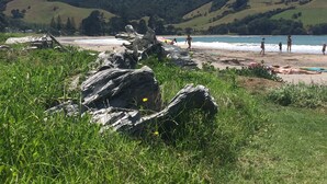 A beach with rocky foreground, grassy areas, and a hilly backdrop. - Iconic 70's Kiwi Bach at Simpsons Beach  (Wharekaho, Simpsons Beach, Whitianga)