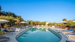 Piscina con sillones de playa y sombrillas, rodeada de vegetación y una valla de madera.