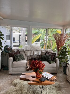 Smart TV, fireplace, books, computer monitors