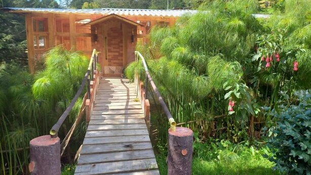 A wooden cabin with a wooden deck leading to the entrance, surrounded by lush greenery and trees.