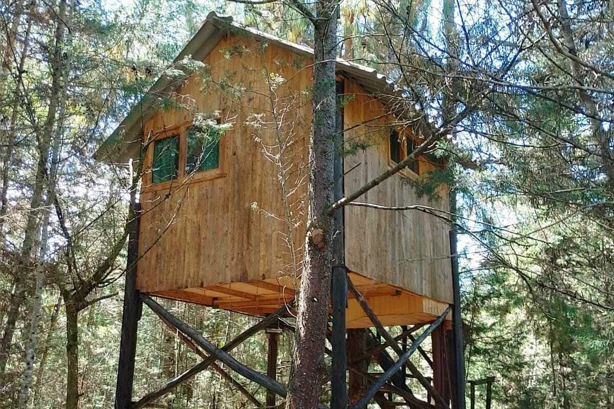 A treehouse with a wooden exterior, built on a metal framework, surrounded by a forest.