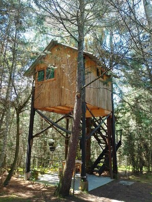 Una casa en un árbol con revestimiento de madera, construida sobre una estructura metálica, rodeada de un bosque.