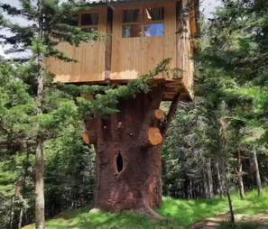 Comfort-Baumhaus, 1 Schlafzimmer, Gartenblick (Luna) | Individuell eingerichtet, kostenloses WLAN, Bettwäsche