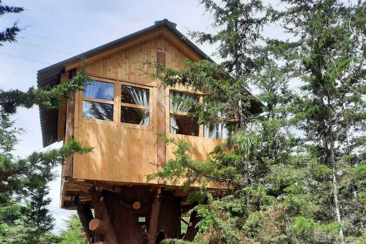 A treehouse with a wooden exterior and multiple windows, surrounded by a forest.