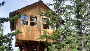 A treehouse with a wooden exterior and multiple windows, surrounded by a forest.