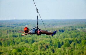 Miscellaneous - Pet friendly home in Laholm (Laholm)