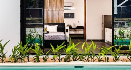 House of Nomad - Adults only