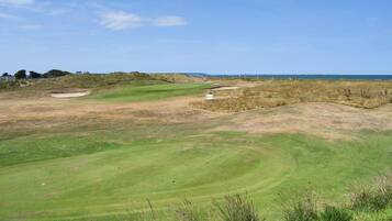 Golfe