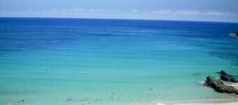 Spacious 1 Bedroom Condo at Turtle Bay
