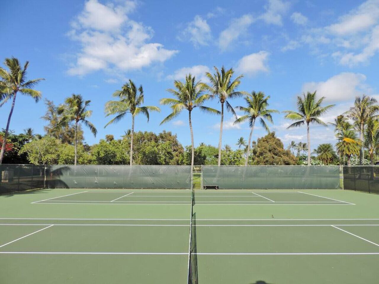 An outdoor tennis court with a net in the center, surrounded by palm trees and a clear sky.