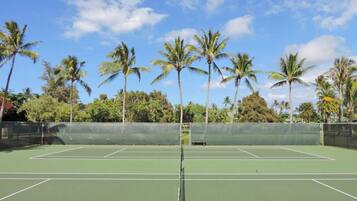 An outdoor tennis court with a net in the center, surrounded by palm trees and a clear sky.