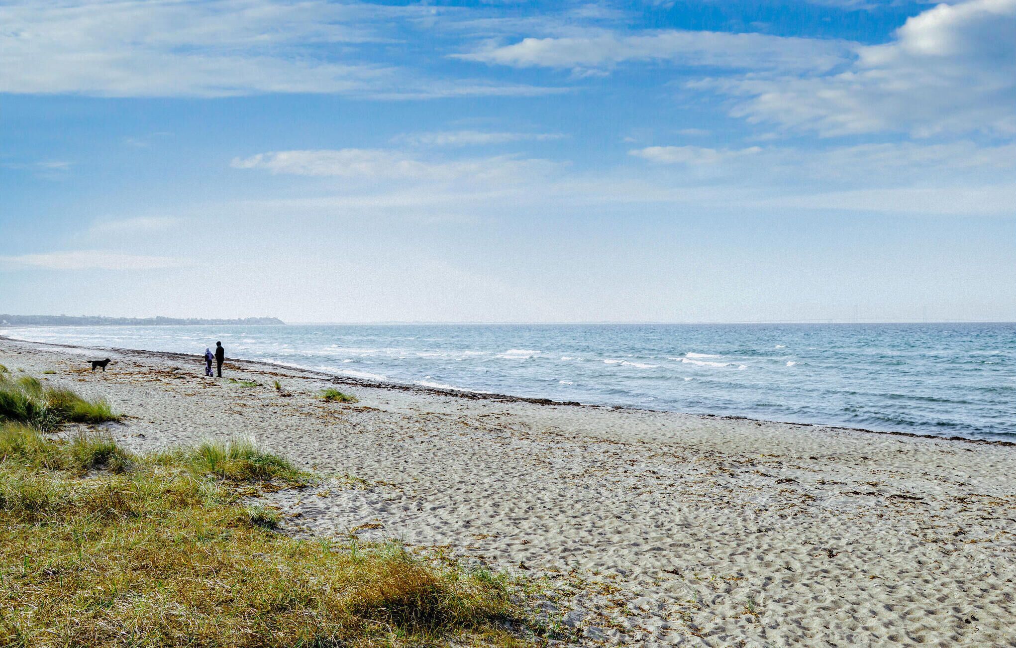 Une plage où une personne se promène le long du rivage.