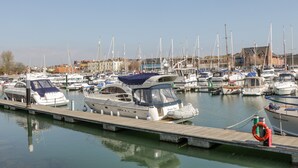 Un puerto deportivo con varias embarcaciones amarradas al muelle.