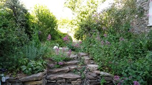 Una escalera de piedra rodeada de vegetación exuberante y plantas con flores.