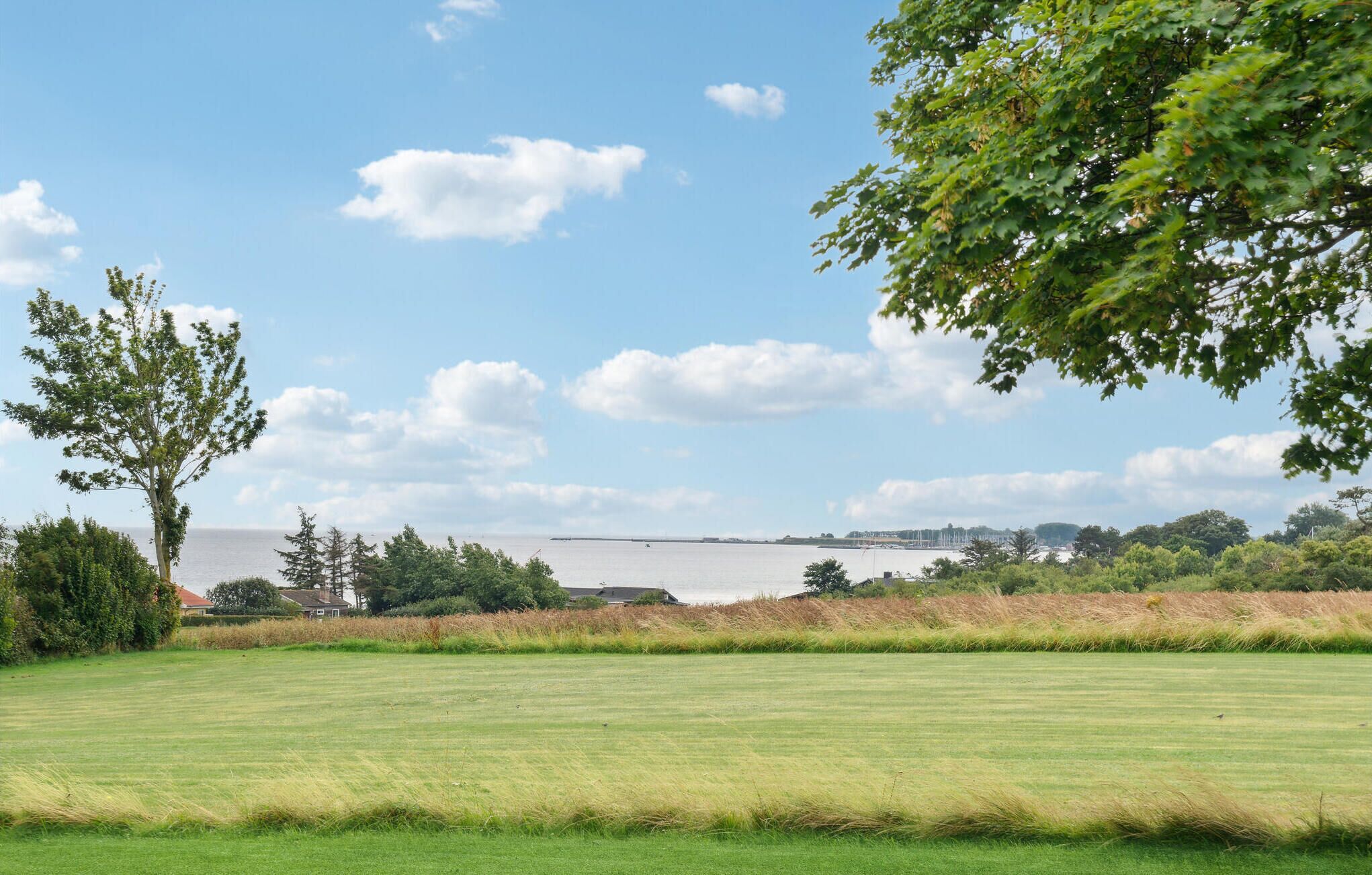 Un champ herbeux avec un arbre, et une vue sur une étendue d’eau et des bâtiments éloignés.