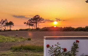 Overnatningsstedets område