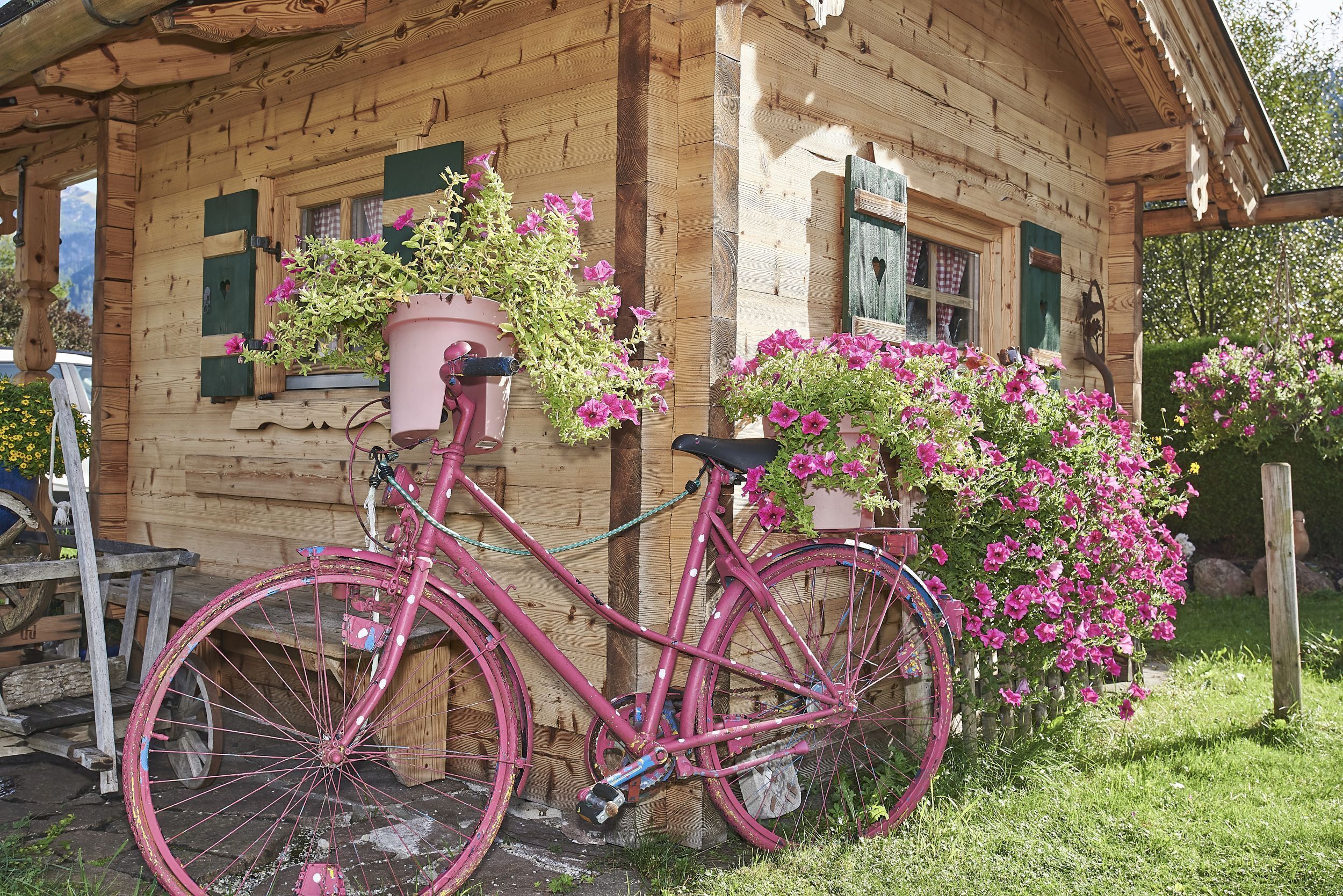 Área da propriedade