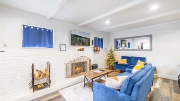 Smart TV, fireplace, books