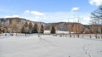 A snow-covered landscape with a wooden fence, trees, and a mountain in the background.