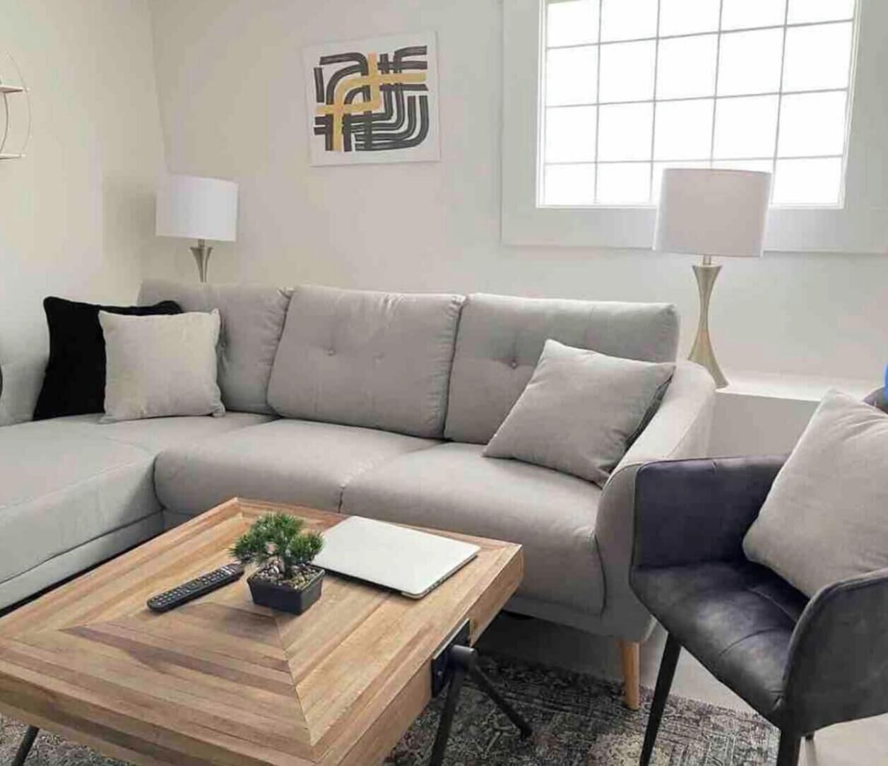 A modern living room with a grey sectional sofa, a wooden coffee table, and a small potted plant.