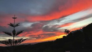 Un coucher de soleil avec la silhouette d’un arbre et une colline en arrière-plan.