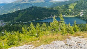 A mountainous landscape with a lake, surrounded by dense forests and a few buildings. - #27 mit IR-Sauna und Sprudelbad Innen by Interhome (Turracher Höhe)