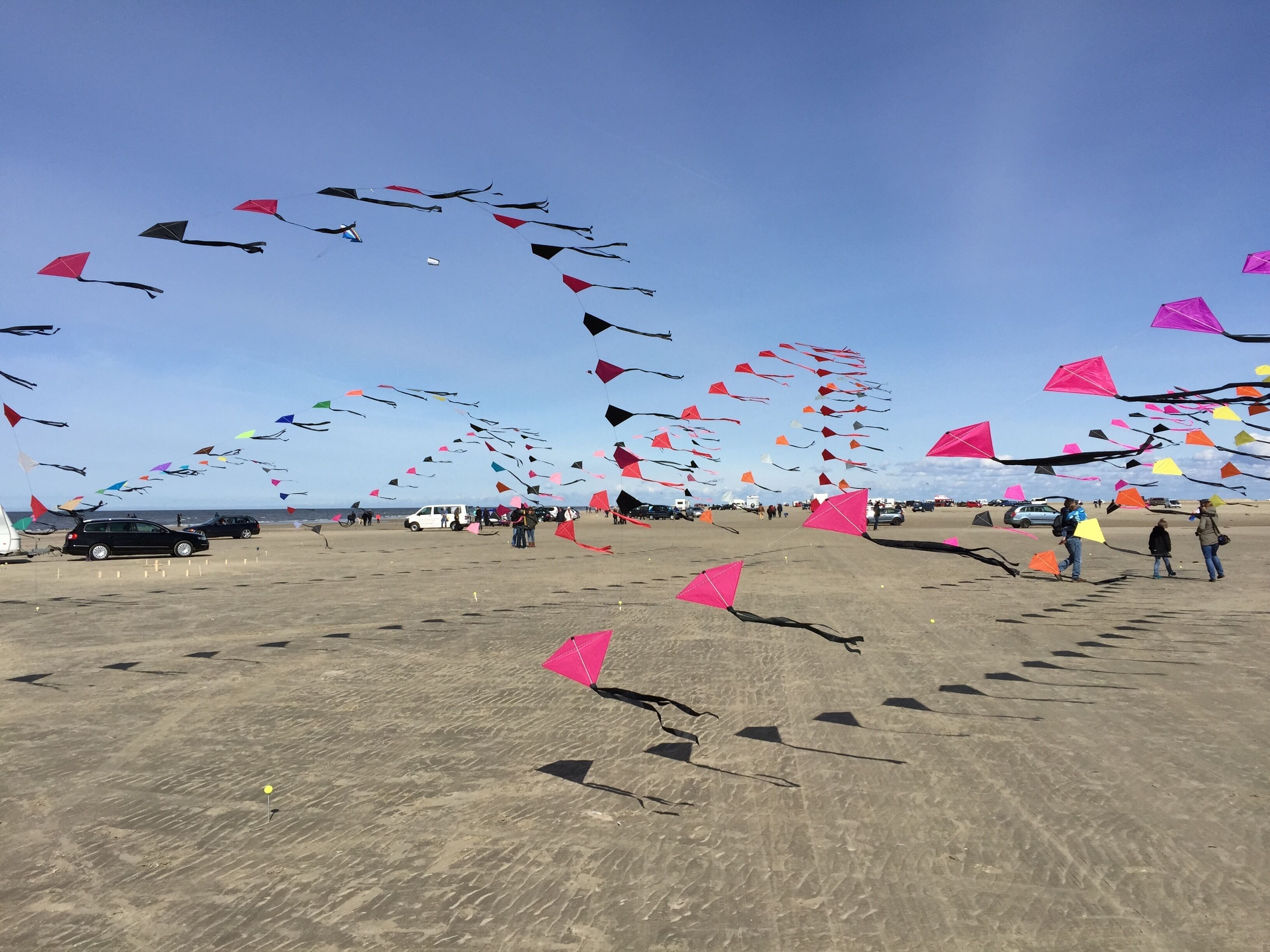 Une plage où de nombreux cerfs-volants s’élèvent dans le ciel.
