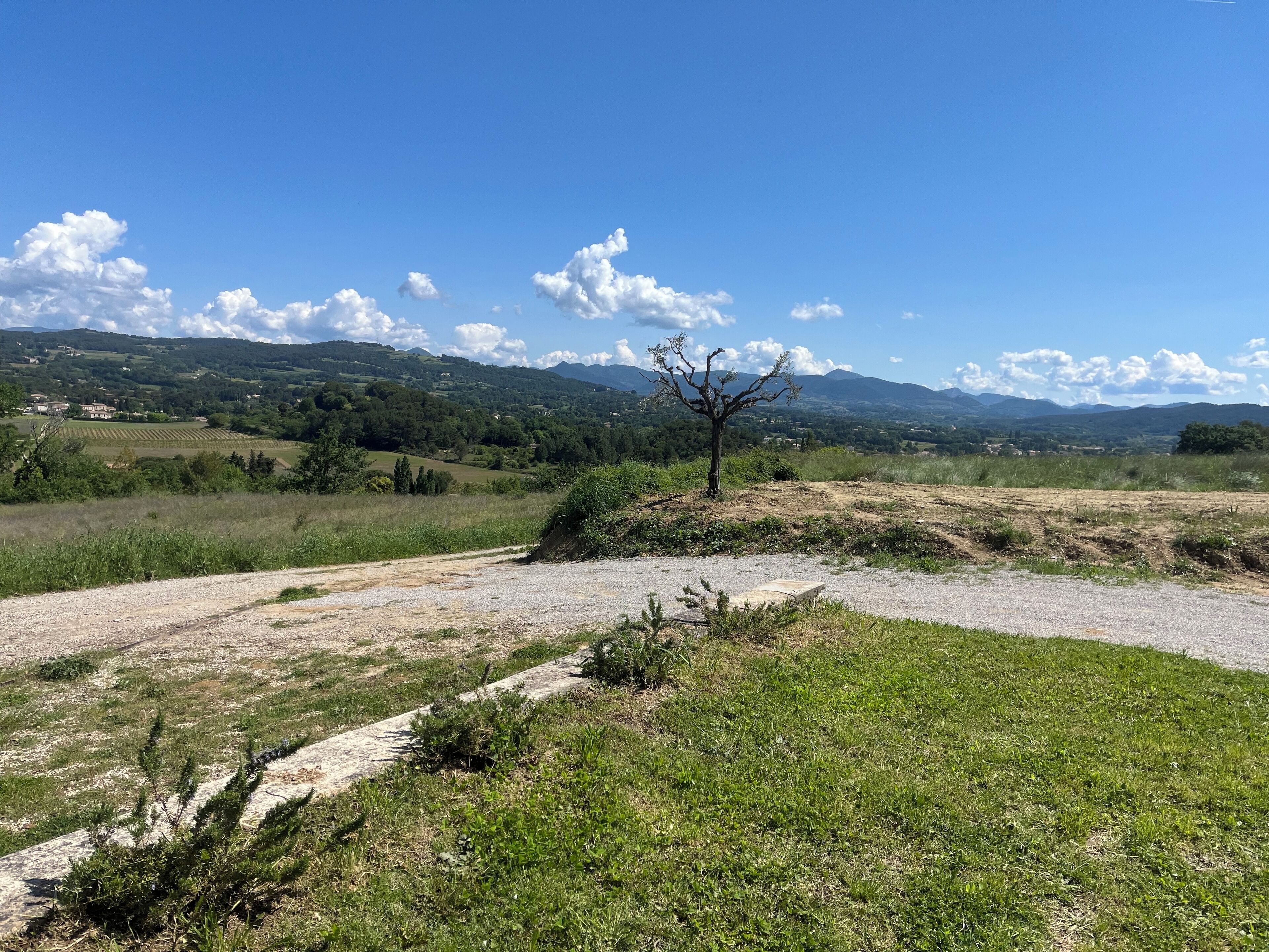 Un paysage rural avec un chemin de gravier, un arbre isolé et des collines lointaines sous un ciel dégagé.