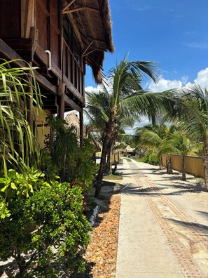 A pathway lined with palm trees and a building with a thatched roof.