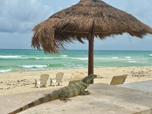 A beach scene with a thatched umbrella, chairs, and a lizard on the sand.