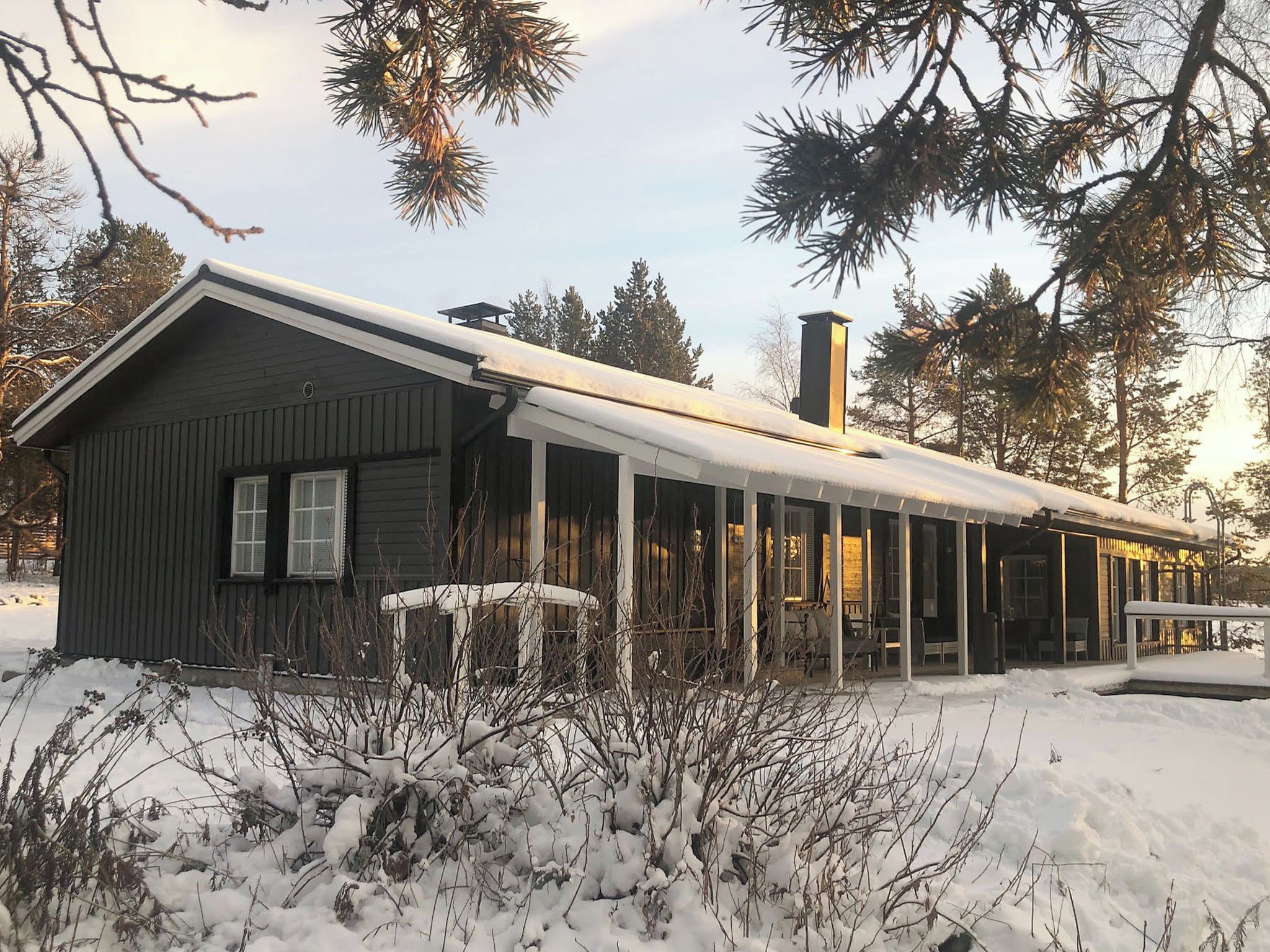 Eksteriør