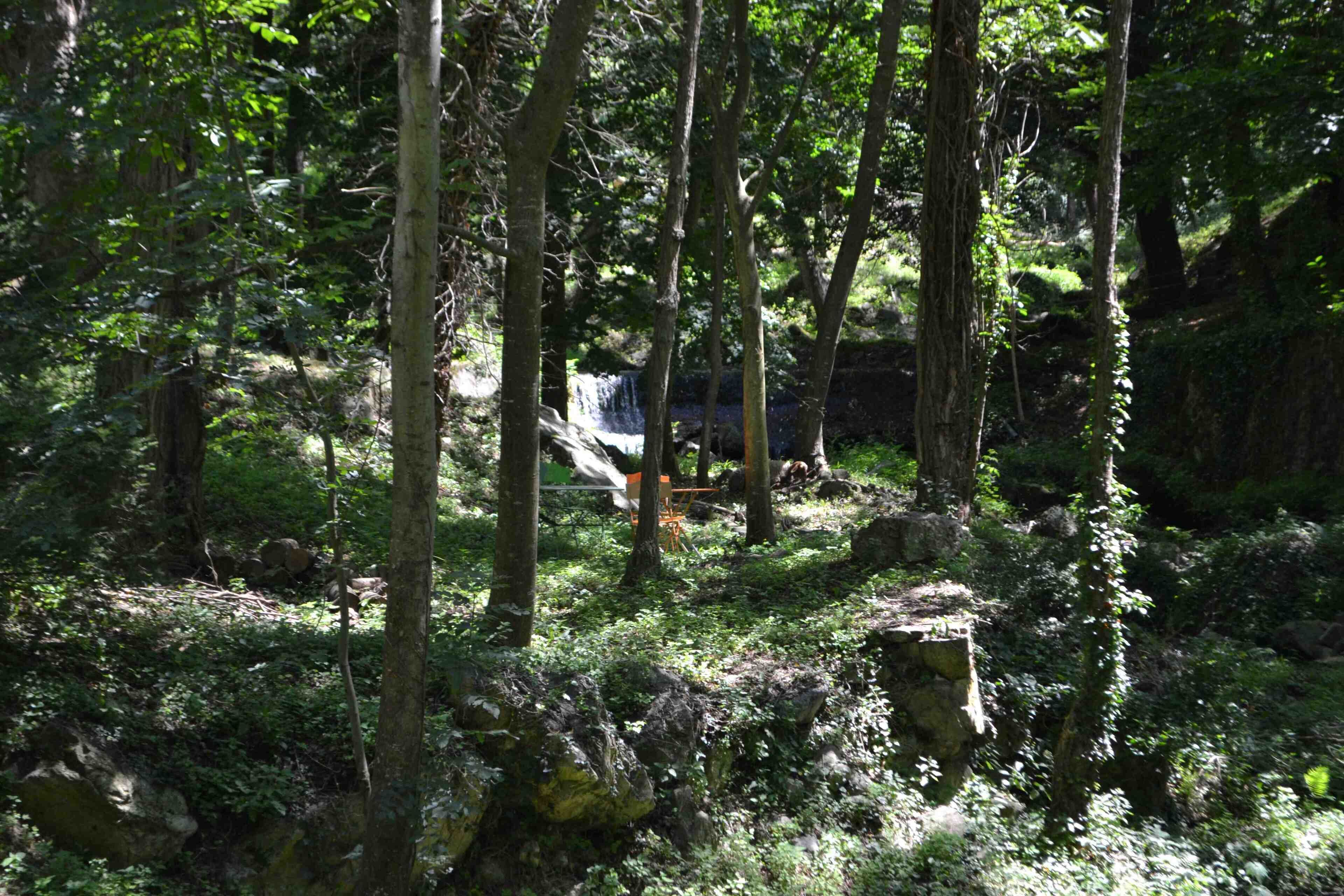 A forested area with a waterfall and a wooden bench.