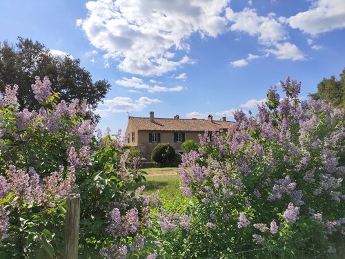"La Bergerie": small charming house near the Gorges du Verdon, Aix en Provence