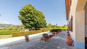 Un chemin bordé de plantes en pot mène à un bâtiment, près duquel se trouve un grand arbre, et d’où l’on peut admirer un paysage vallonné.
