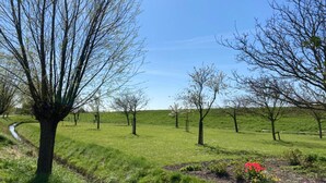 A grassy field with trees and a small stream. - Appartement Ellemeet (Ellemeet)