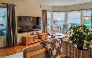 Smart-TV, Kamin, DVD-Player