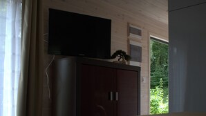 A room with a wooden cabinet, a television on top, a table, and a chair. - Tiny house in unspoiled nature on Lake Plau (Bad Stuer)
