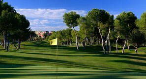 Un terrain de golf avec un mât de drapeau, des arbres et un ciel dégagé.