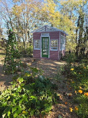 Exterior - Newly renovated Farm cottage with Mountain views  (Strasburg)