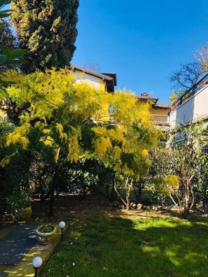 Parco della struttura