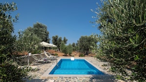 Una piscina rectangular con borde de piedra, rodeada de olivos y un cielo azul despejado.