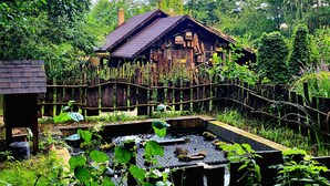 Une cabane en bois rustique, entourée d’une végétation luxuriante et bordée d’un petit étang.
