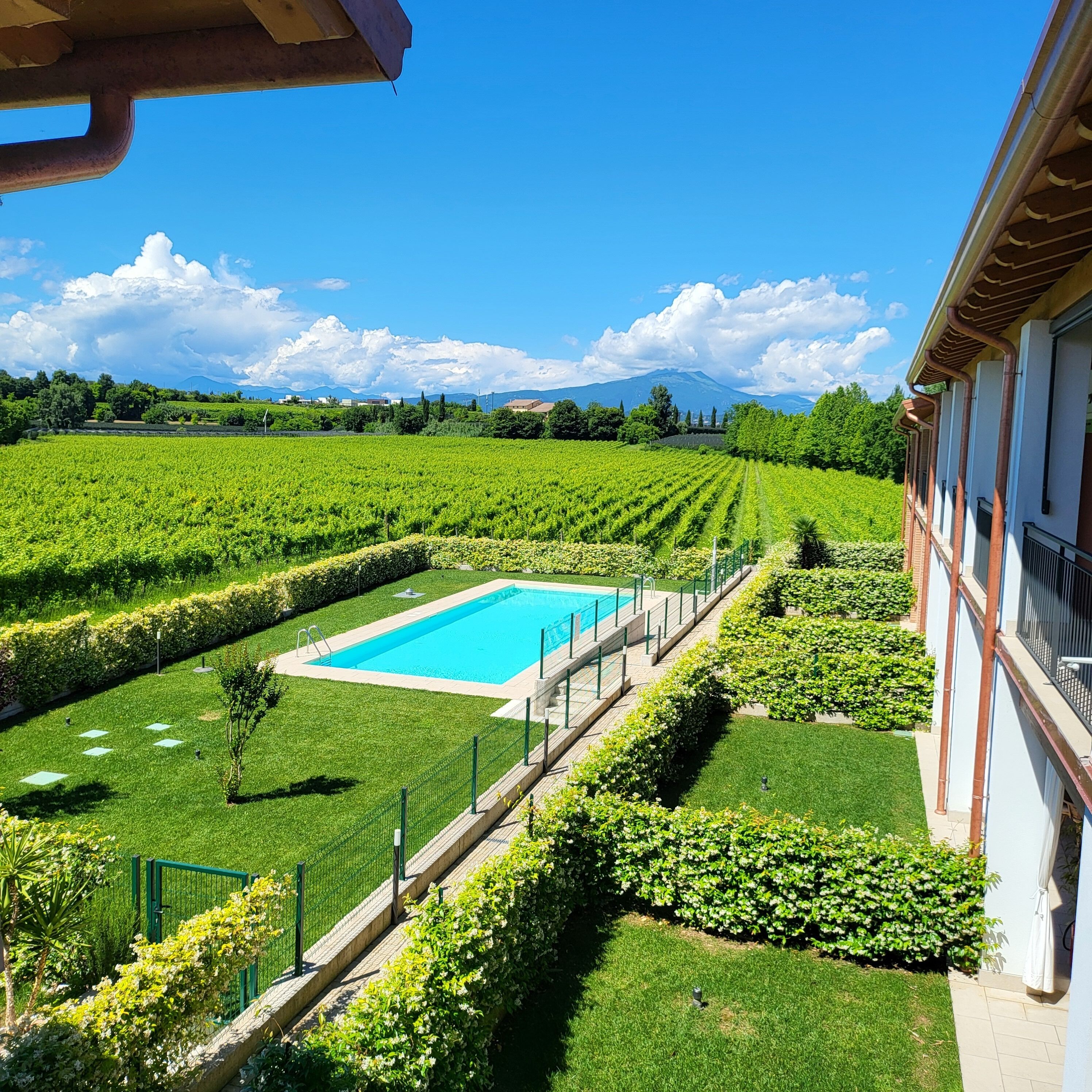 Una piscina rodeada de césped y setos cuidados, con vista a un viñedo y montañas distantes.