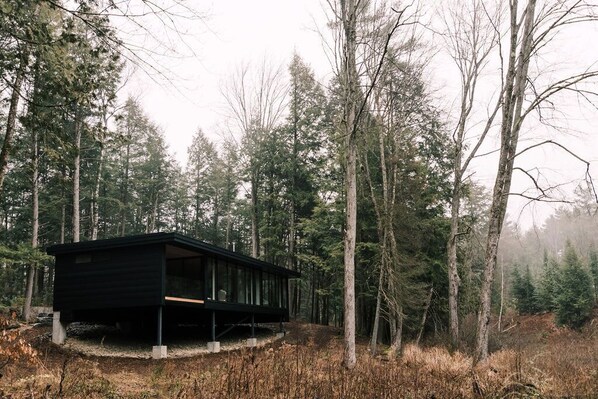 Une cabane moderne au cœur d’une forêt.
