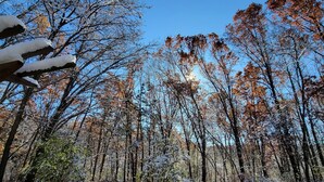 A snowy forest with picnic tables and benches. - Relax at this Private, Peaceful, Dog-Friendly Ecohouse in the Woods. (Lowell)