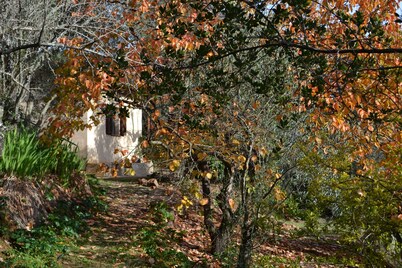 Nestled in greenery